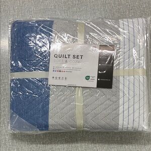 Queen - Soft & Cozy Blue and White Quilt Set